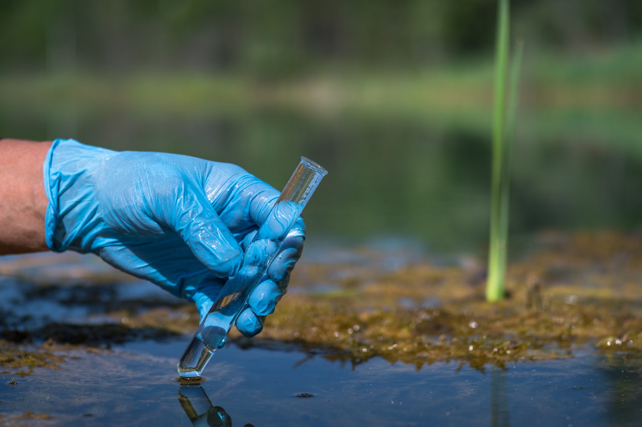 A worker's gloved hand holds a test tube with a water sample against the background of a natural landscape. The concept of the content of pollutants in reservoirs with industrial wastewater discharges