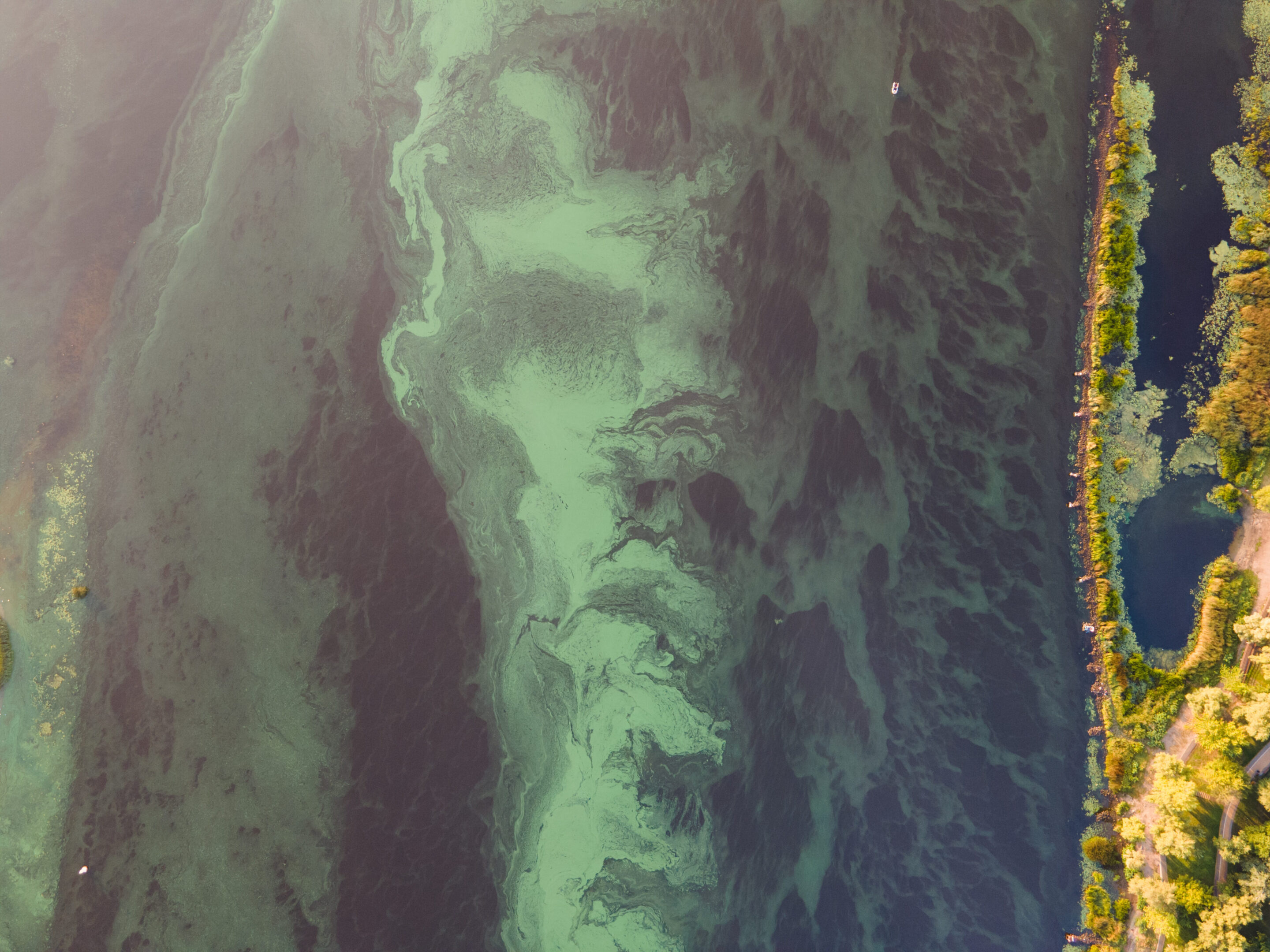 Aerial view of the algal bloom on the Dnieper river