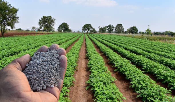 Concept of role and importance of fertilisers in Agriculture. It plays vital role in plant growth.